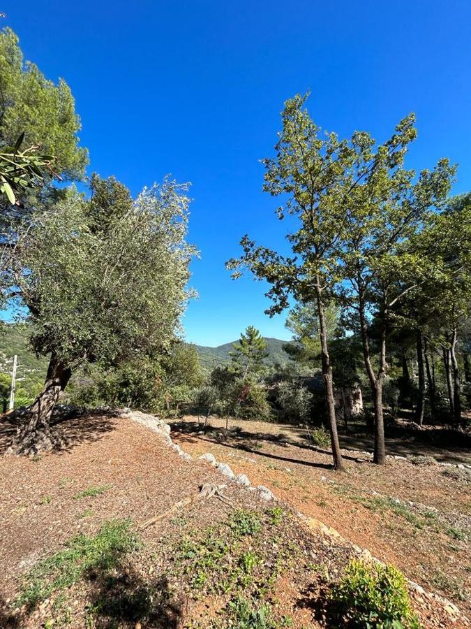La Bergerie Villa Bargemon Eksteriør bilde